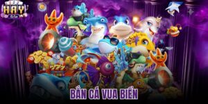 bắn cá vua biển