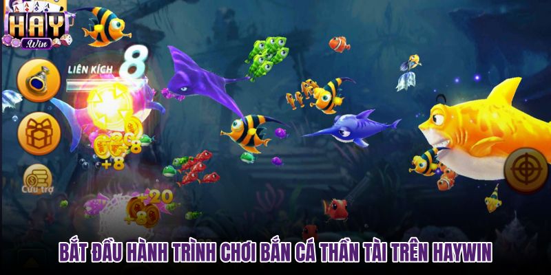 bat-dau-hanh-trinh-choi-ban-ca-than-tai-tren-haywin bat-dau-hanh-trinh-choi-ban-ca-than-tai-tren-haywin