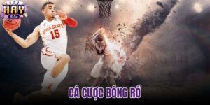 Cá cược bóng rổ