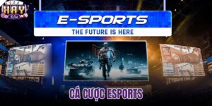 Cá cược esports