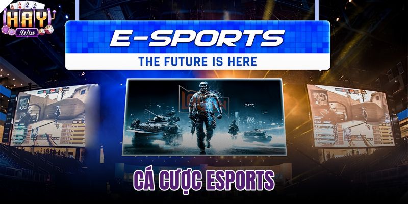 Cá cược esports