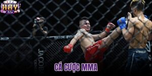 Cá cược MMA