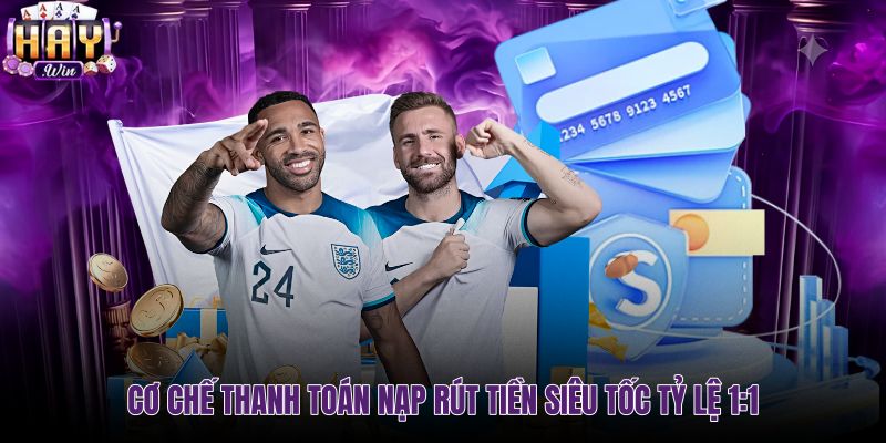 Hệ thống nạp rút tiền haywin tự động và tỷ lệ chuẩn