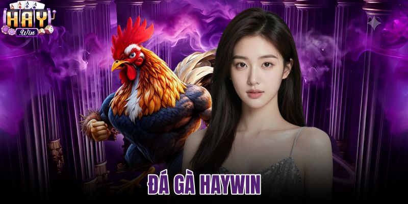 Đá gà Haywin