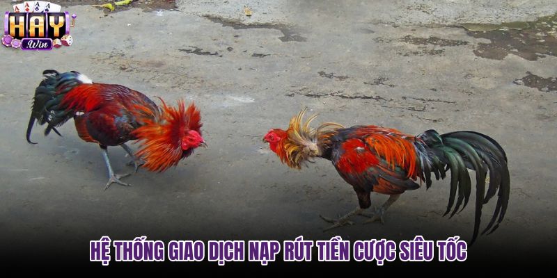 he-thong-giao-dich-nap-rut-tien-cuoc-sieu-toc