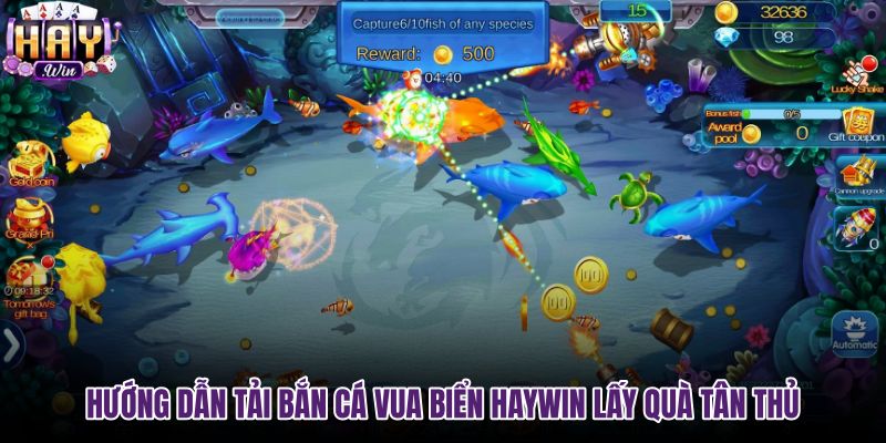 huong-dan-tai-ban-ca-vua-bien-haywin-lay-qua-tan-thu huong-dan-tai-ban-ca-vua-bien-haywin-lay-qua-tan-thu