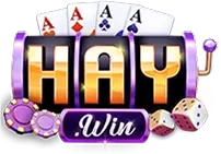 HAYWIN