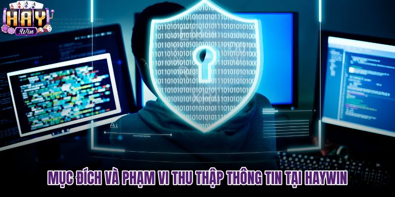 muc-dich-va-pham-vi-thu-thap-thong-tin-tai-haywin