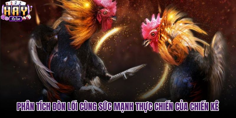phan-tich-don-loi-cung-suc-manh-thuc-chien-cua-chien-ke