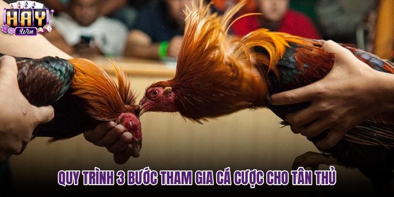 quy-trinh-3-buoc-tham-gia-ca-cuoc-cho-tan-thu quy-trinh-3-buoc-tham-gia-ca-cuoc-cho-tan-thu